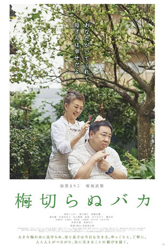 梅切らぬバカ
