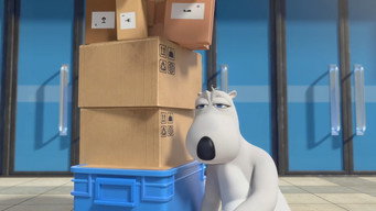 Berni T8E11