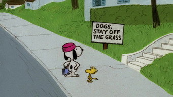 #16 Snoopy Come Home