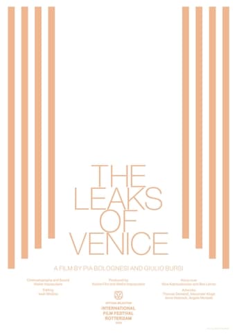 The Leaks of Venice