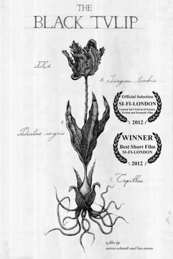 Poster för The Black Tulip