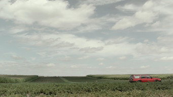 Meet Me in the Woods (2018)
