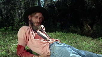 Cottonpickin' Chickenpickers (1967)