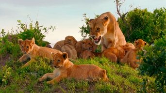 Brotherhood of Lions - S1E01