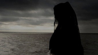 Moreno (2013)