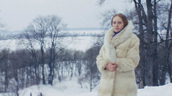 #45 Соляріс