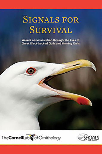 Signals for Survival poster