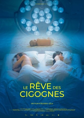 Dream of Storks (2025) Dream of Storks (2025)