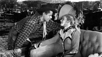 #7 The Desperadoes