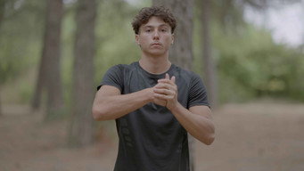 Invincible media image