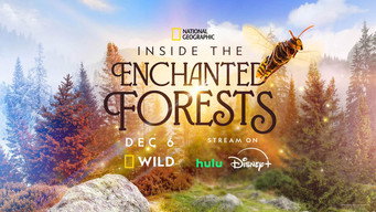 Inside the Enchanted Forests (2024- )