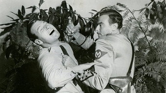 Forced Landing (1941)