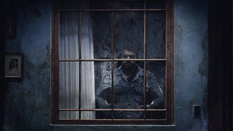 Siempreviva media image