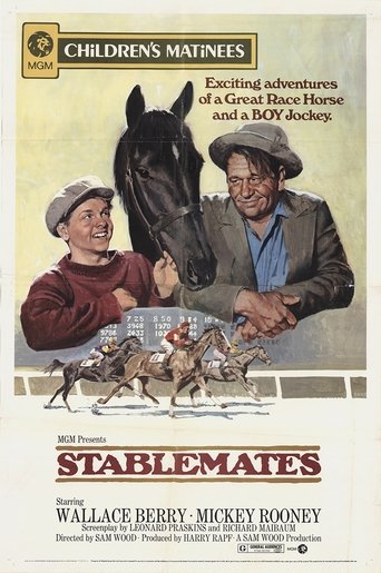 Watch Stablemates Online Free Putlockers Watch Stablemates Online Free Putlockers