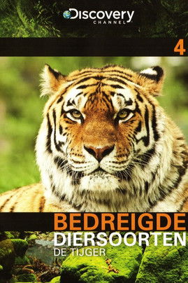 Bedreigde Diersoorten 04: De Tijger