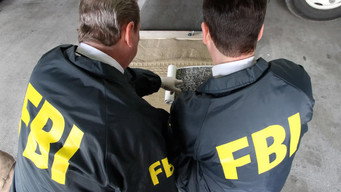 #3 FBI Takedowns
