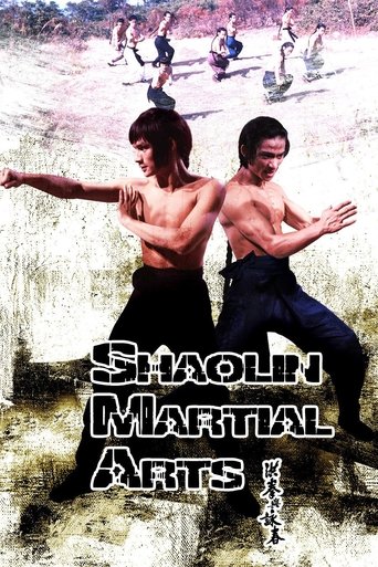 Shaolin Martial Arts