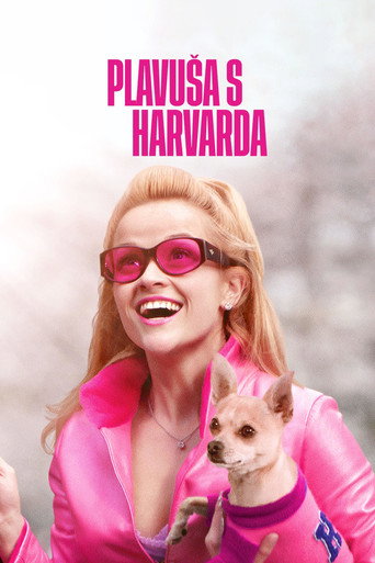 Poster 62