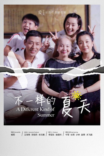 不一样的夏天 poster