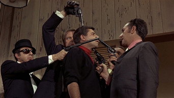 #5 The Big Mouth