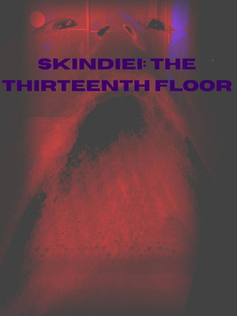 Skindiei: The Thirteenth Floor poster