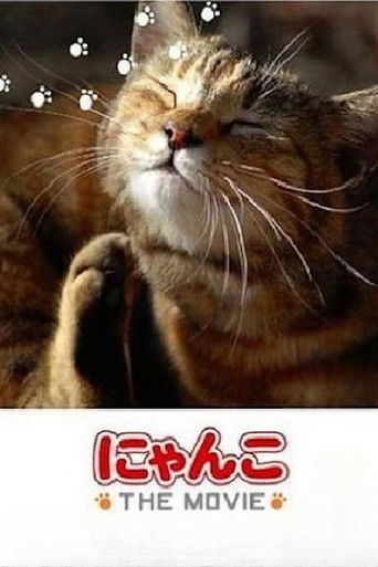 Cat Story The Movie 1 poster 2