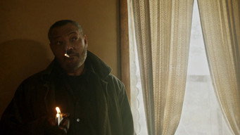 Galeria 5 - Acorralados