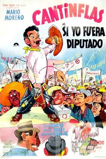 Si yo fuera diputado poster