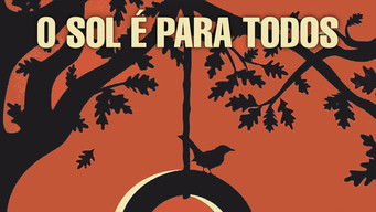 Cena de O Sol é Para Todos