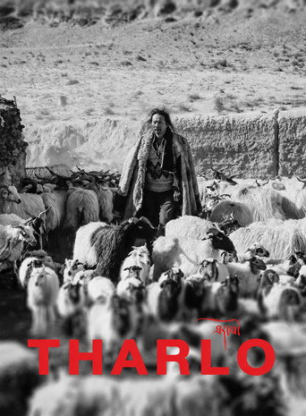 Tharlo