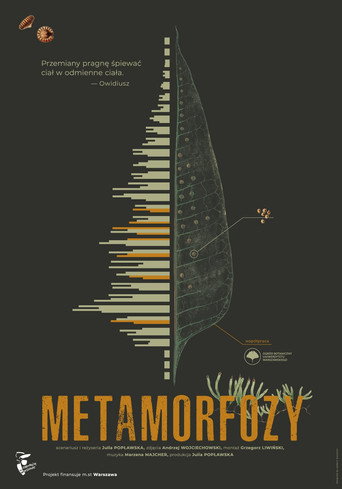 Metamorfozy