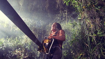 #15 Hatchet II