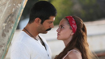 #5 Love Like You