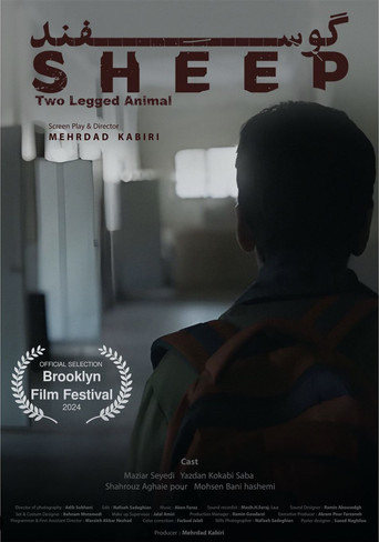 Sheep (2024)