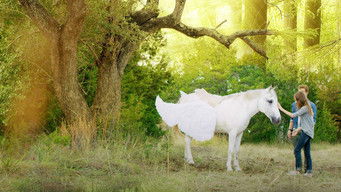 Galeria 2 - Pegasus: Pony With a Broken Wing