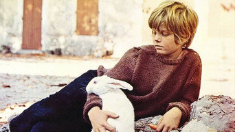 Secret World (1969)