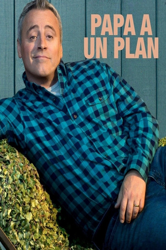 Papa a un plan - affiche officiel