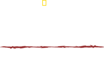 Primal Survivor: Extreme African Safari logo