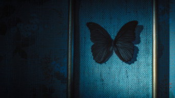 #4 Black Butterflies