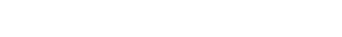 12 Strong logo