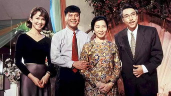 The Golden Pillow (1995-1996)