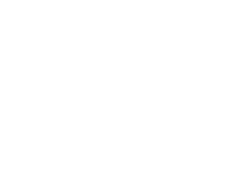 Jungle Junction logo