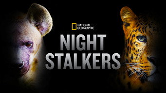 #5 Night Stalkers