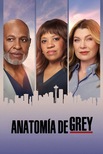 Póster de Anatomía de Grey