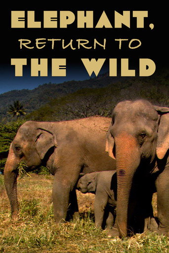 Elephant, Return to the Wild (1970)