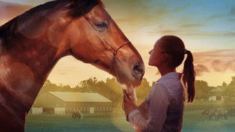 Galeria 3 - A Horse Tale