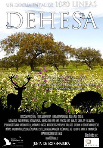 Dehesa poster