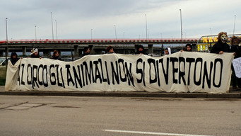 L'ultimo spettacolo (2025)