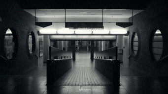 Night Flight (2016)