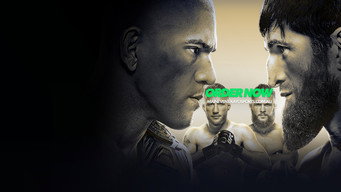 #11 UFC 313: Pereira vs. Ankalaev